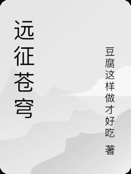 远征苍穹邮票介绍