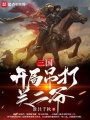 三国开局吊打关二爷全文阅读