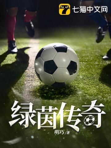 pes2013绿茵传奇