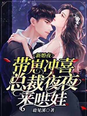 新婚夜带崽冲喜总裁夜夜来哄娃正版