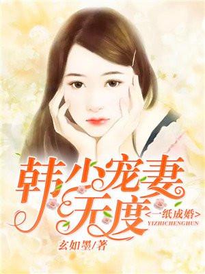 一纸成婚韩少宠妻无度