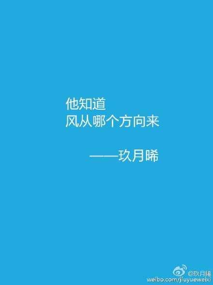 他知道风从哪个方向来番外结婚