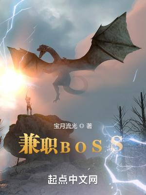 boss能做兼职吗