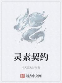 灵契介绍