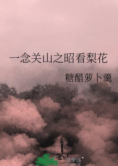 一念关山西瓜视频电视剧全集免费观看