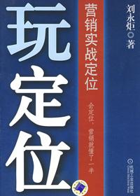 营销实战定位案例分析