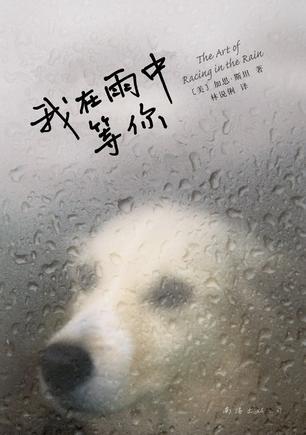 我在雨中等你歌词是什么意思