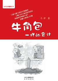 牛角包一样的会计pdf