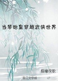 当琴爹穿越到武侠世