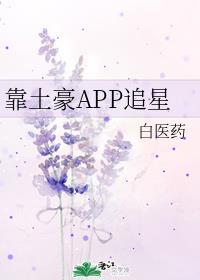 靠土豪APP追星TXT百度