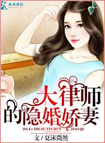 大律师的隐婚妻