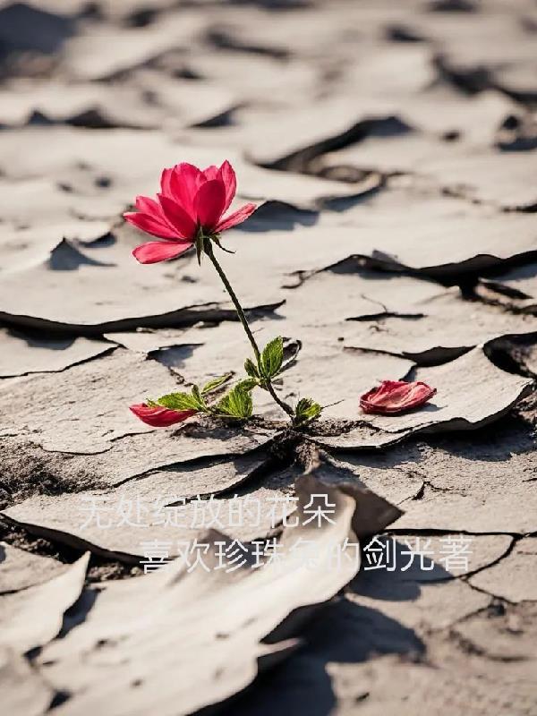 花朵绽放的视频