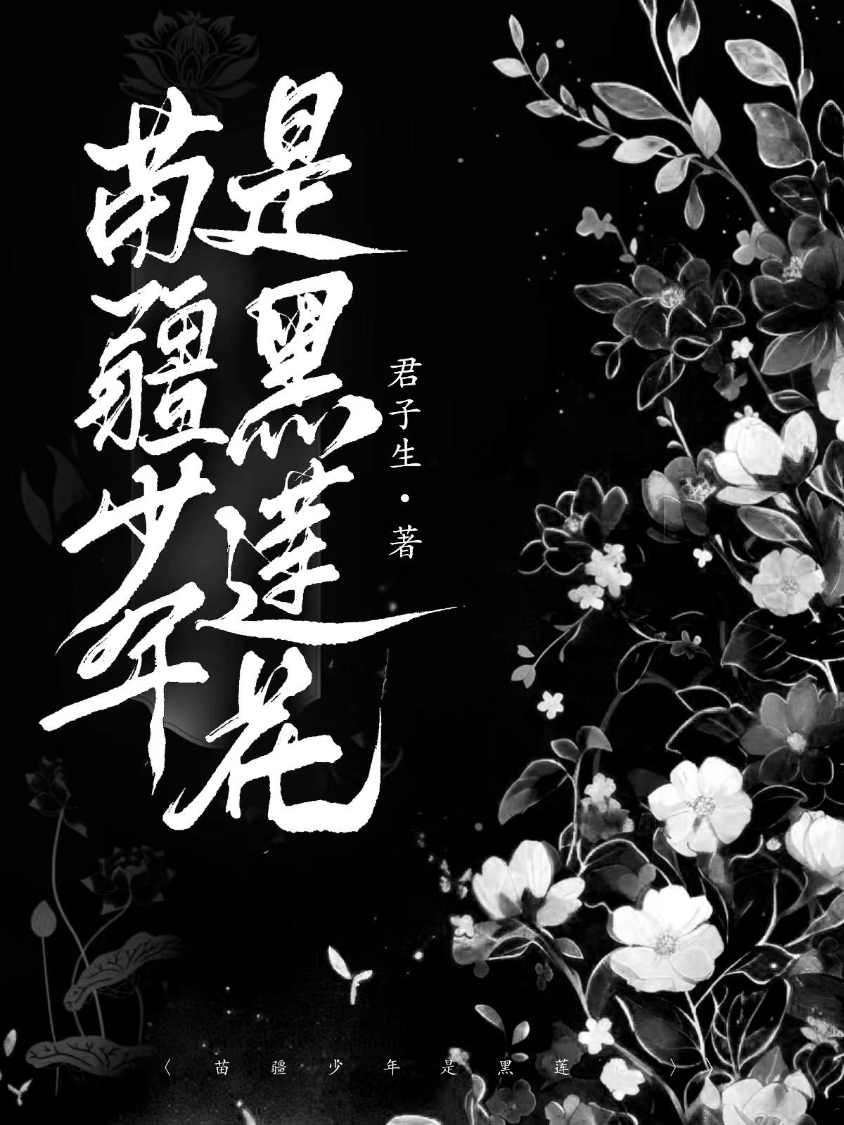 苗疆少年是黑莲花作者