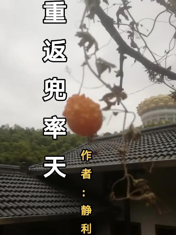 重返兜率天 禅定实践