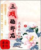 护花郎讲什么