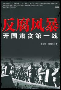 扫黑风暴1-28集免费播放