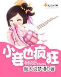 小妾宠妃文