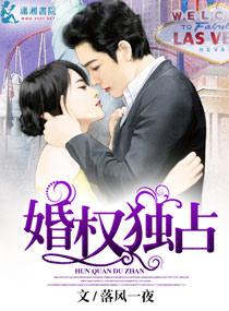 婚宠之4婚权独占