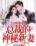 闪婚蜜爱总裁的神秘新妻漫画