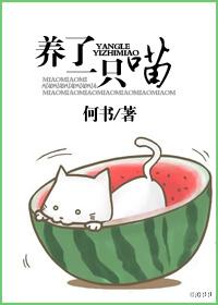 养了一只猫