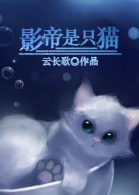 影帝是只猫洛白