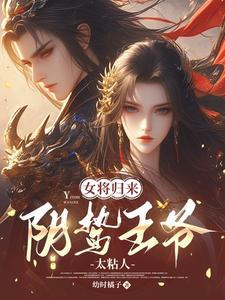 女将军王爷