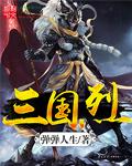 三国烈霸有中文吗