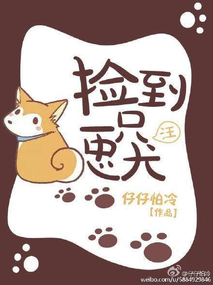 捡到一只马犬